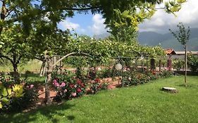 Alma Migrante Bed&Wine